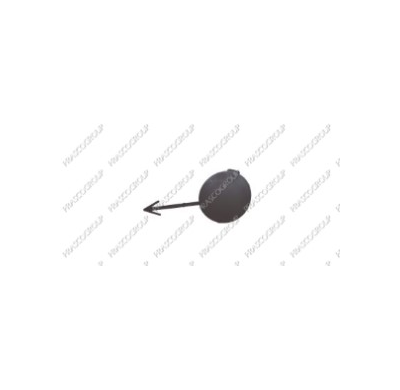 Tapagancho Delantero