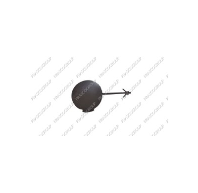 Tapagancho Delantero P.307 01>05