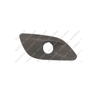 Rejilla Dch Paragolpes Imprimada  Con Agujero Antiniebla 308 13>