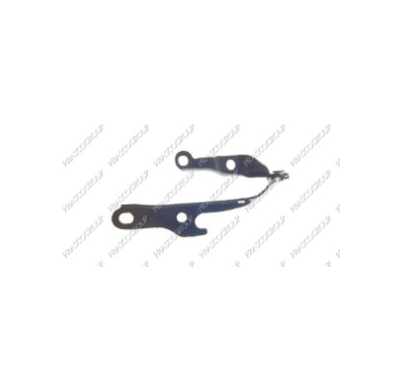 Bisagra Izquierda Capo