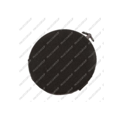 Tapagancho Delantero Prius 04>09