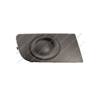 Rejilla Derecha Paragolpes Delantero