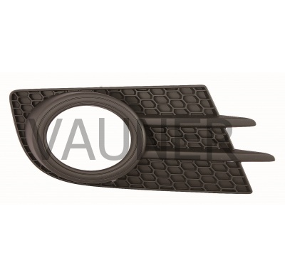 Vw Tiguan 08-*Rejilla Paragolpes Delantero Dch Con Agujero Antiniebla