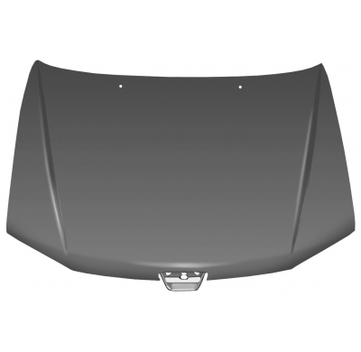 Peugeot 306 97-*Capo