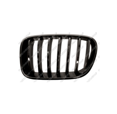 Rejilla Izquierda Negra Brillante (Acabado M) Bmw X3 2010->