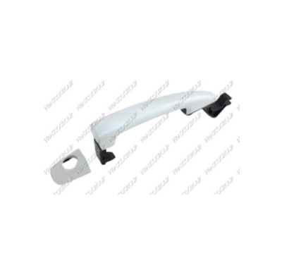 Maneta Exterior Delantera Izquierda Con Imprimacion-Sin Llave Citroen C5 2011->