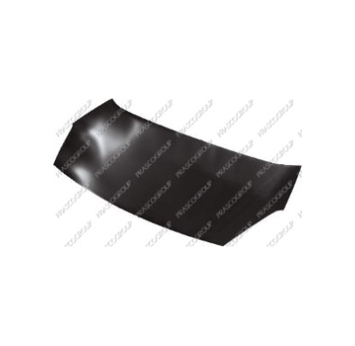 Citroen Berlingo 08-*Capo