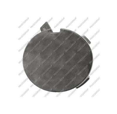 Tapagancho Delantero