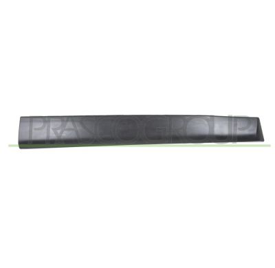 MOLDURA PUERTA DELANTERA IZQUIERDA-CON CLIPS-NEGRO/GRANULADO