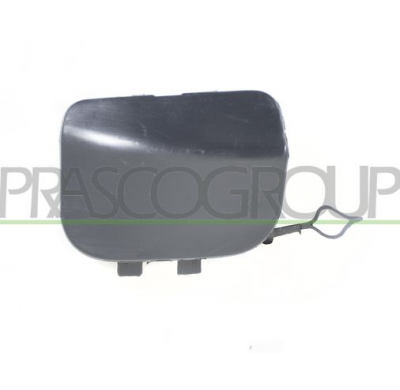 TAPAGANCHO DELANTERO