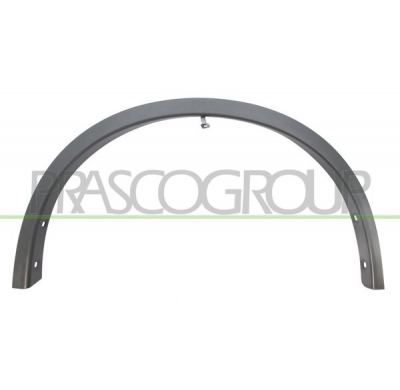 CERCO ALETA DELANTERO DERECHO-NEGRO GRANDULADO