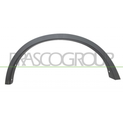 CERCO ALETA TRASERO DERECHO-NEGRO GRANDULADO