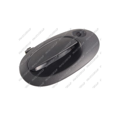 Maneta Exterior Porton Trasero-Negra-Con Agujero Llave Renault Kangoo 2002->