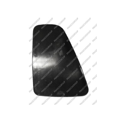 Tapa Piloto Trasero Izquierdo