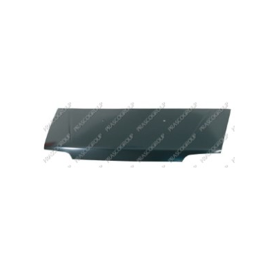 Fiat Ducato 02-*Capo