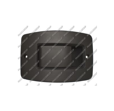 Manecilla Interior Negra Porton Trasero