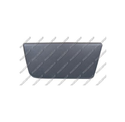 Moldura Puerta Delantera Izquierda-Negra Fiat Ducato 2006->