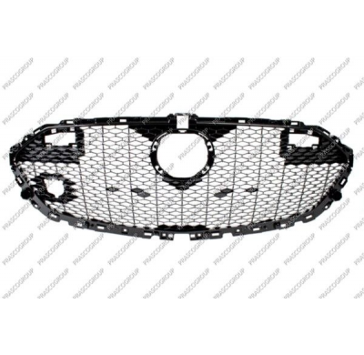 Rejilla Negra Con Marco Negra Brillante