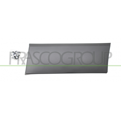 MOLDURA LATERAL INFERIOR IMPRIMADA-ALETA TRASERA IZQUIERDA MOD. PASO LARGO