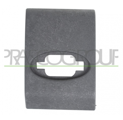 MOLDURA LATERAL NEGRA GRANULADA-CON AGUJERO PARA LUZ DE FRENO-PUERTA TRASERA IZQUIERDA