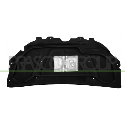 PANEL INSONORIZADO CAPO-9 CLIPS