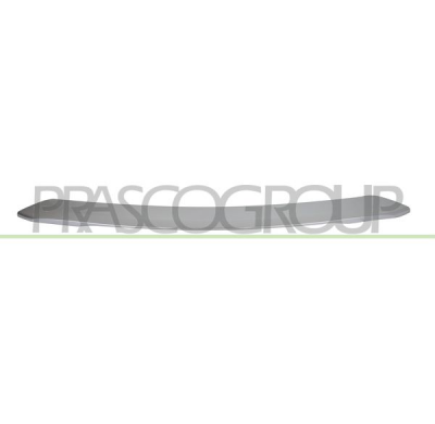 MOLDURA CENTRAL PARAGOLPES TRASERO-PLATA