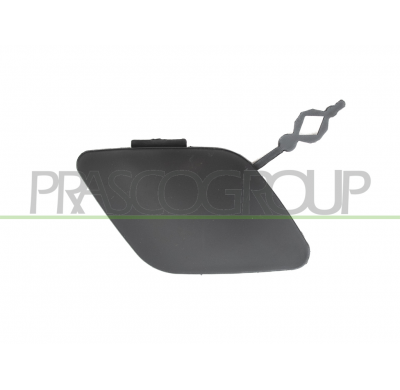 TAPAGANCHO DELANTERO