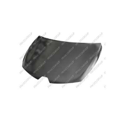 Renault Clio 13-*Capo