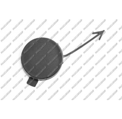 Tapagancho Delantero