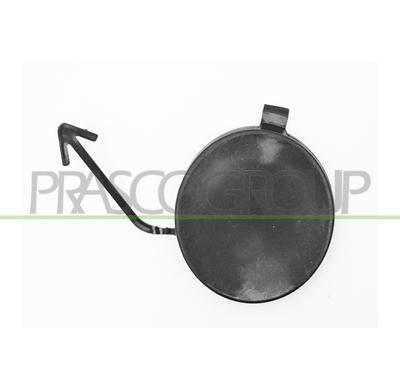 Tapagancho Delantero