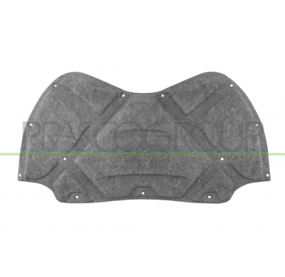 PANEL INSONORIZADO CAPO-13 CLIPS