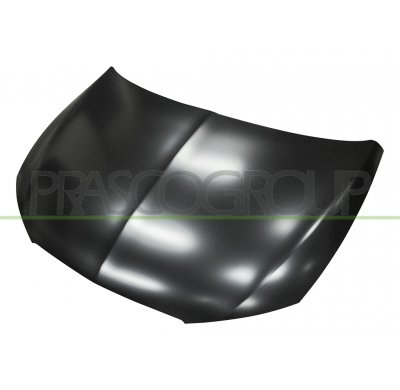 SEA LEON 12 -* CAPO (CHAPA)