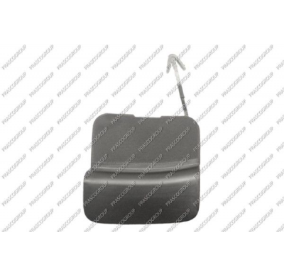 TAPAGANCHO DELANTERO