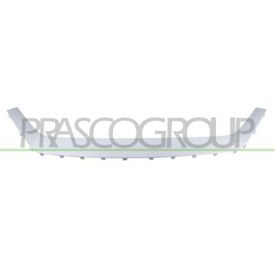 MOLDURA INFERIOR CENTRAL PARAGOLPES DELANTERO-IMPRIMADO