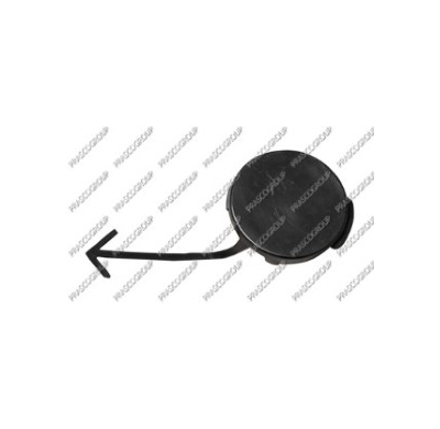 Tapagancho Delantero