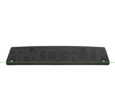 PORTAMATRICULA DELANTERO