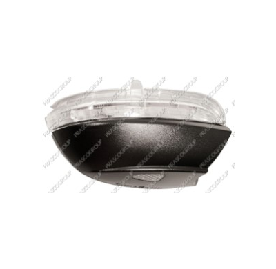 Piloto Y Luz Espejo Derecho