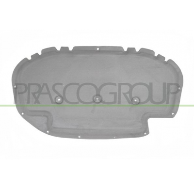 PANEL INSONORIZANTE CAPO