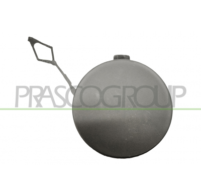 TAPAGANCHO DELANTERO