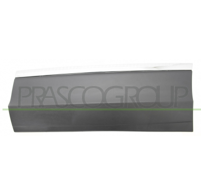 MOLDURA PUERTA TRASERA IZQUIERDA NEGRA GRANULADA-CON AGUJEROS PERFIL