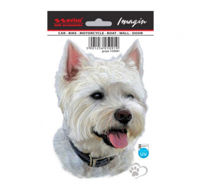Auto Pegatina Tatuaje West Highland White Terrier - 16x11cm