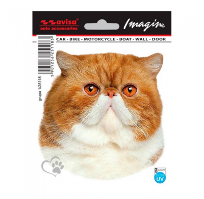 Auto Tattoo Sticker Persa - 11x11cm