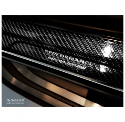 Protector Puerta Carbono 3d Toyota Rav-4 (5th Gen) 2018- 'Performance' 2-Piezas