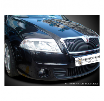 Pestañas De Faro Skoda Octavia Ii 2004-2008 (Abs)