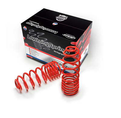 Muelles rebajados AutoStyle para BMW 550e xDrive Touring (G61) (Suspensión neumática trasera) - Incluye bieletas de descenso. 07