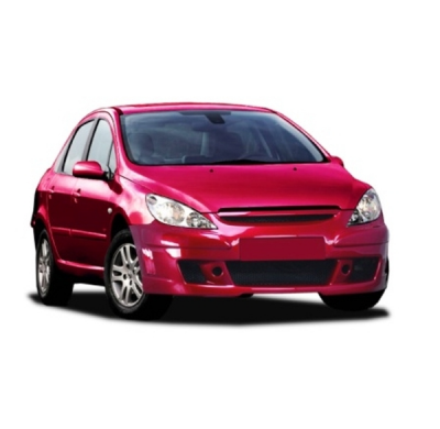 Paragolpe Peugeot 307 Murdoc Delantero