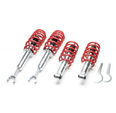 Suspensión Coilover Ta Technix  Valido Para: Audi A6 Quattro, Tipo 4b, C5 Audi A6 Quattro Avant, Tipo 4b, C5 Incl.S6, Rs6 Año De