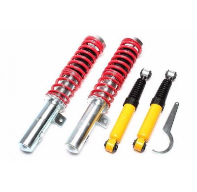 Suspensión Coilover Ta Technix El Eje Trasero Se Ajusta a Través De La Barra De Torsión Estándar  Valido Para: Citroën Xsara, Ti