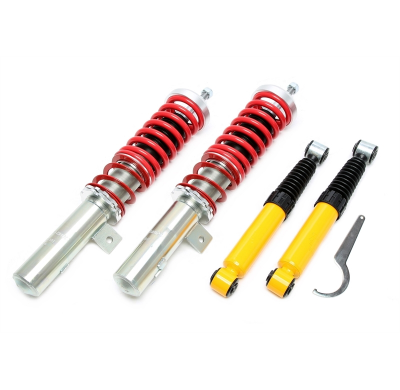 Suspensión Coilover Ta Technix - Versión Profunda El Ajuste Del Eje Trasero Se Realiza Mediante La Barra De Torsión Estándar No