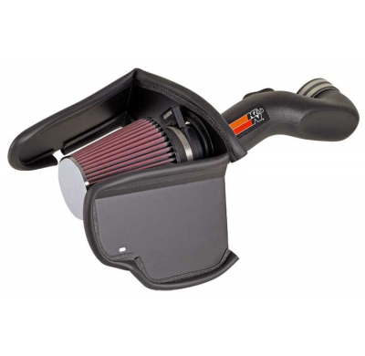 K&n Filtro De Admison Chevrolet Trailblazer 6.0l V8 F/I  Año:2006  Obs.: All